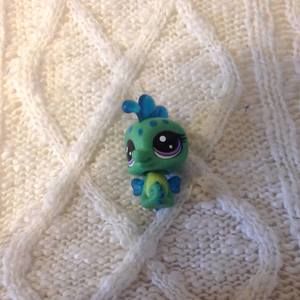 Meet your Posher, Raven